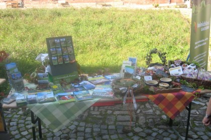 Obraz 073
